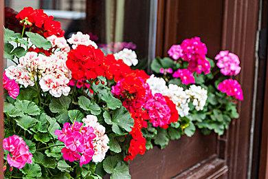 《足球经理2022》抢先体验BETA版上线 11月10日正式发售